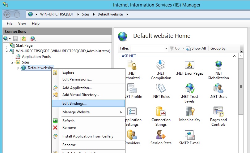 Read more about the article Using IIS (Microsoft Internet Information Server)