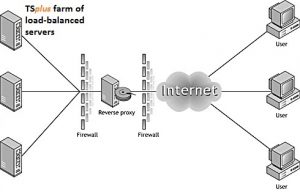 Read more about the article Using the Reverse Proxy feature